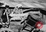 Immagine di Soldati alleati Italia, 1944, secondo 28 filmato di repertorio 65675069940