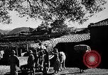 Immagine di Soldati alleati Italia, 1944, secondo 45 filmato di repertorio 65675069940