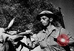 Immagine di Soldati alleati Italia, 1944, secondo 47 filmato di repertorio 65675069940