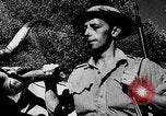 Immagine di Soldati alleati Italia, 1944, secondo 48 filmato di repertorio 65675069940
