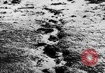 Image of winter warfare training Germany, 1943, second 3 stock footage video 65675069942