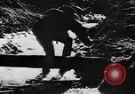 Image of winter warfare training Germany, 1943, second 22 stock footage video 65675069942