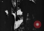 Image of winter warfare training Germany, 1943, second 31 stock footage video 65675069942