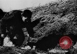Image of winter warfare training Germany, 1943, second 37 stock footage video 65675069942