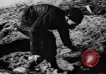 Image of winter warfare training Germany, 1943, second 38 stock footage video 65675069942