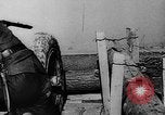 Image of winter warfare training Germany, 1943, second 53 stock footage video 65675069942