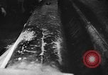 Image of sawmill Germany, 1943, second 29 stock footage video 65675069946