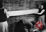 Image of sawmill Germany, 1943, second 33 stock footage video 65675069946