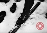 Image of cross country race Germany, 1943, second 34 stock footage video 65675069948