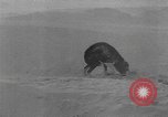 Standbild Betrieb Muskox Edmonton Alberta Kanada, 1946, aus Sekunde 23 historischem Filmmaterial Videoclip 65675069951