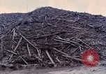 Immagine di I geologi Washington Mount Saint Helens USA, 1980, secondo 62 filmato di repertorio 65675069958