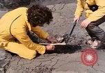 Standbild Geologen Washington Mount Saint Helens USA, 1980, aus Sekunde 43 historischem Filmmaterial Videoclip 65675069961