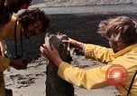 Immagine di I geologi Washington Mount Saint Helens USA, 1980, secondo 22 filmato di repertorio 65675069962