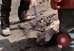Immagine di I geologi Washington Mount Saint Helens USA, 1980, secondo 31 filmato di repertorio 65675069962