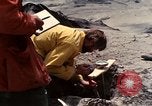 Standbild Geologen Washington Mount Saint Helens USA, 1980, aus Sekunde 14 historischem Filmmaterial Videoclip 65675069964