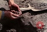 Standbild Geologen Washington Mount Saint Helens USA, 1980, aus Sekunde 21 historischem Filmmaterial Videoclip 65675069964