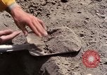 Standbild Geologen Washington Mount Saint Helens USA, 1980, aus Sekunde 30 historischem Filmmaterial Videoclip 65675069964