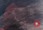 Image of stratovolcano Washington Mount Saint Helens USA, 1980, second 34 stock footage video 65675069966