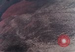 Image of stratovolcano Washington Mount Saint Helens USA, 1980, second 35 stock footage video 65675069966