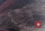 Image of stratovolcano Washington Mount Saint Helens USA, 1980, second 36 stock footage video 65675069966