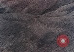 Image of stratovolcano Washington Mount Saint Helens USA, 1980, second 42 stock footage video 65675069966