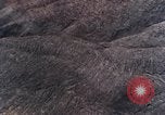 Image of stratovolcano Washington Mount Saint Helens USA, 1980, second 43 stock footage video 65675069966