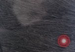 Image of stratovolcano Washington Mount Saint Helens USA, 1980, second 55 stock footage video 65675069966