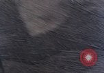 Image of stratovolcano Washington Mount Saint Helens USA, 1980, second 56 stock footage video 65675069966