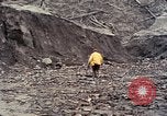 Image of geologists Washington Mount Saint Helens USA, 1980, second 37 stock footage video 65675069967