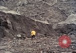 Image of geologists Washington Mount Saint Helens USA, 1980, second 41 stock footage video 65675069967