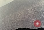 Image of geologist Washington Mount Saint Helens USA, 1980, second 29 stock footage video 65675069968