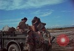 Immagine di 5 Forze Speciali gruppo Vietnam del Sud, 1966, secondo 61 filmato di repertorio 65675069972