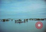 Immagine di 5 le forze speciali di sgravio di gruppo camp Don Phouc Vietnam del Sud, 1966, secondo 8 filmato di repertorio 65675069974