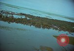 Immagine di 5 le forze speciali di sgravio di gruppo camp Don Phouc Vietnam del Sud, 1966, secondo 38 filmato di repertorio 65675069974