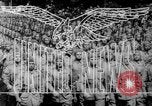 Standbild amerikanischen Bombardierungen Saipan Nördliche Marianen, 1944, aus Sekunde 13 historischem Filmmaterial Videoclip 65675069986
