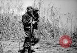 Standbild Befreiung von Leyte Leyte Philippinen, 1944, aus Sekunde 20 historischem Filmmaterial Videoclip 65675069987