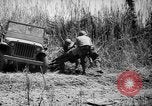 Standbild Befreiung von Leyte Leyte Philippinen, 1944, aus Sekunde 35 historischem Filmmaterial Videoclip 65675069987