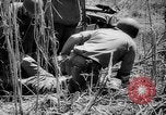 Standbild Befreiung von Leyte Leyte Philippinen, 1944, aus Sekunde 40 historischem Filmmaterial Videoclip 65675069987