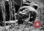 Standbild Befreiung von Leyte Leyte Philippinen, 1944, aus Sekunde 41 historischem Filmmaterial Videoclip 65675069987