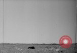 Standbild Flugzeuge Rettungsaktion test United States USA, 1944, aus Sekunde 10 historischem Filmmaterial Videoclip 65675069988
