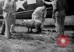 Standbild Flugzeuge Rettungsaktion test United States USA, 1944, aus Sekunde 40 historischem Filmmaterial Videoclip 65675069988