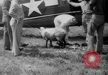 Standbild Flugzeuge Rettungsaktion test United States USA, 1944, aus Sekunde 41 historischem Filmmaterial Videoclip 65675069988