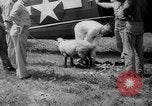 Standbild Flugzeuge Rettungsaktion test United States USA, 1944, aus Sekunde 42 historischem Filmmaterial Videoclip 65675069988