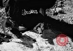Standbild Flugplatz Wiederaufbau Saipan Nördliche Marianen, 1945, aus Sekunde 23 historischem Filmmaterial Videoclip 65675069992