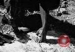 Standbild Flugplatz Wiederaufbau Saipan Nördliche Marianen, 1945, aus Sekunde 24 historischem Filmmaterial Videoclip 65675069992