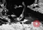 Standbild Flugplatz Wiederaufbau Saipan Nördliche Marianen, 1945, aus Sekunde 25 historischem Filmmaterial Videoclip 65675069992