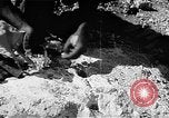 Standbild Flugplatz Wiederaufbau Saipan Nördliche Marianen, 1945, aus Sekunde 26 historischem Filmmaterial Videoclip 65675069992
