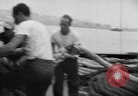 Immagine di SS Flandre United States USA, 1952, secondo 25 filmato di repertorio 65675070000