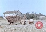 Image Army Camp Corse France, 1944, de la seconde 10 séquences d'archives historiques vidéo 65675070020