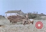 Image Army Camp Corse France, 1944, de la seconde 11 séquences d'archives historiques vidéo 65675070020